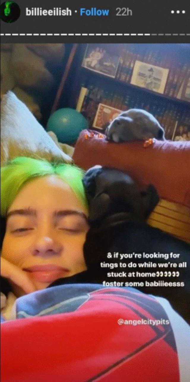 画像1: ©Billie Eilish / Instagram