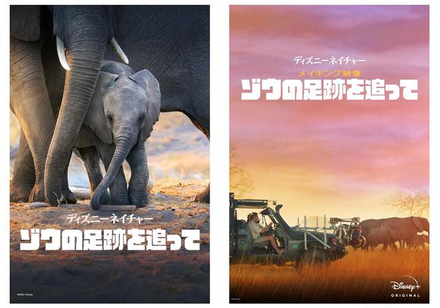 画像: 『ディズニーネイチャー/ゾウの足跡を追って』(左)と『ディズニーネイチャー/メイキング映像 ~ゾウの足跡を追って~』(右)はディズニープラスで配信中 Photo:© 2020 Disney