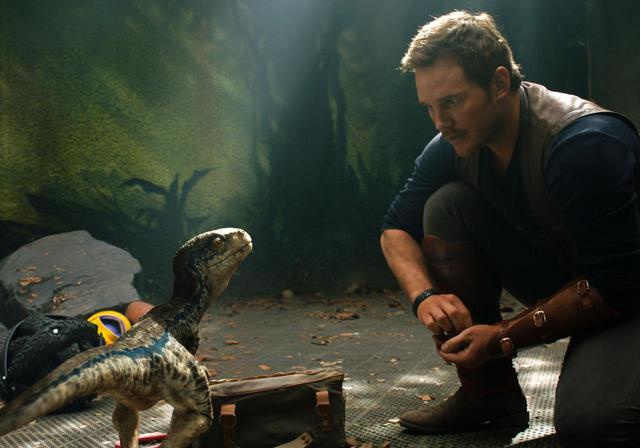 画像: 映画『ジュラシック・ワールド』シリーズより、主人公のオーウェンを演じる俳優のクリス・プラット。 Photo:©︎Amblin ent/Apaches Ent/Legendary Ent/Universal Pictures / Album/Newscom