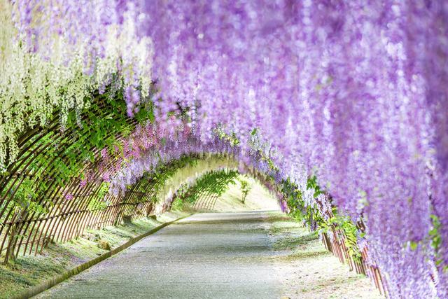 画像: ※イメージ画像