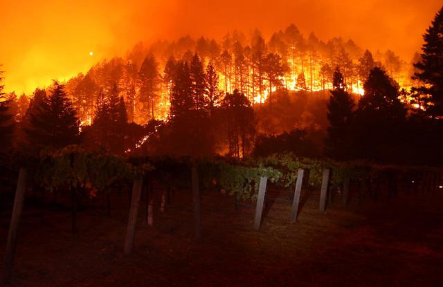 画像: ワイン産地として有名なナパバレーに迫る火災。(カリフォルニア州のナパ郡セント・ヘレナで9月27日に撮影)