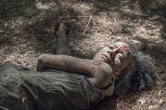 画像1: 『TWD』シーズン10最終回の場面写真が公開