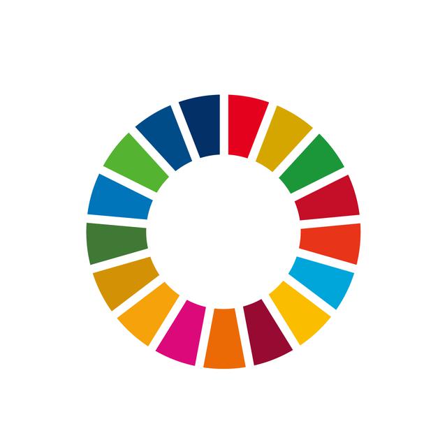 画像: SDGsのポイント4<17の目標> 一番重要なのはどれ?17の目標は愛憎ドラマの相関図のように絡み合っている