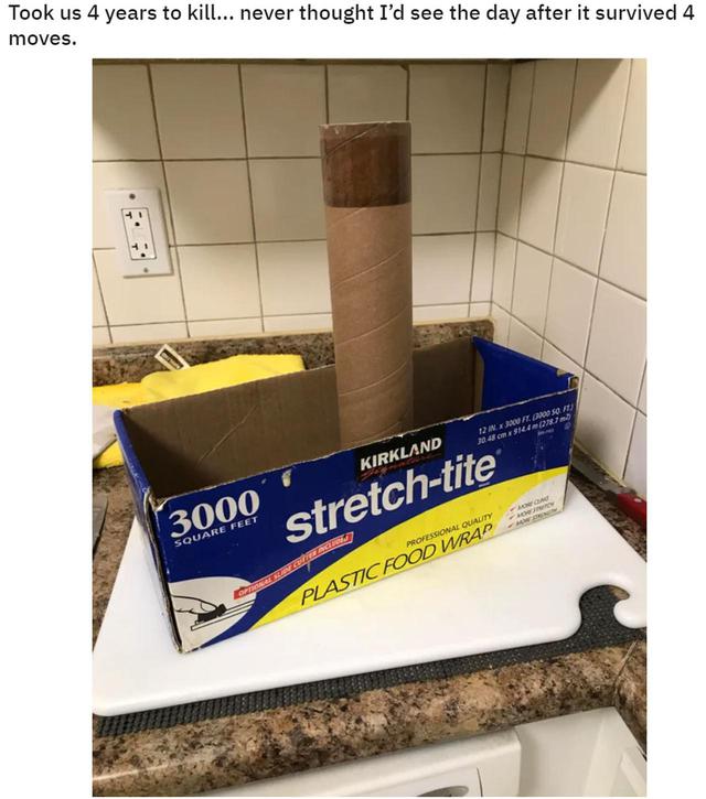 画像: ⓒTeddFundy/Reddit