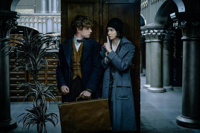 画像: ニュート役のエディ・レッドメインとティナ役のキャサリン・ウォーターストン。 Photo:©︎WARNER BROS PICTURES / Album/Newscom
