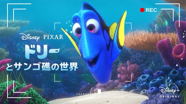 画像: © 2021 Disney/Pixar Dory's Reef Cam