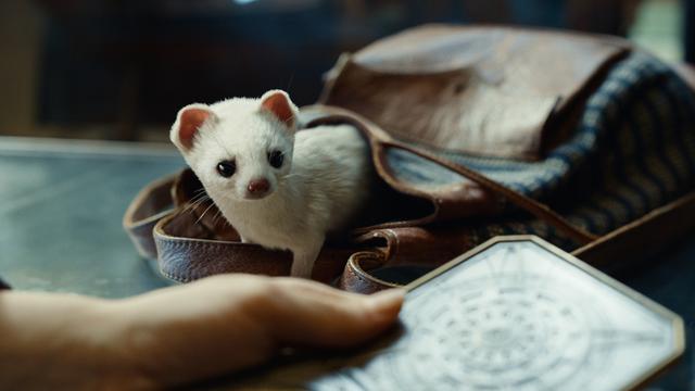 画像3: © 2020 Home Box Office, Inc. All rights reserved. HBO® and all related programs are the property of Home Box Office, Inc.