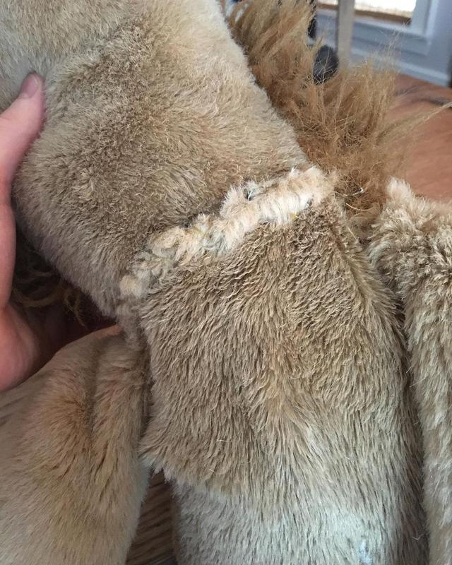 画像2: 愛犬ドジャーとぬいぐるみの手術を報告
