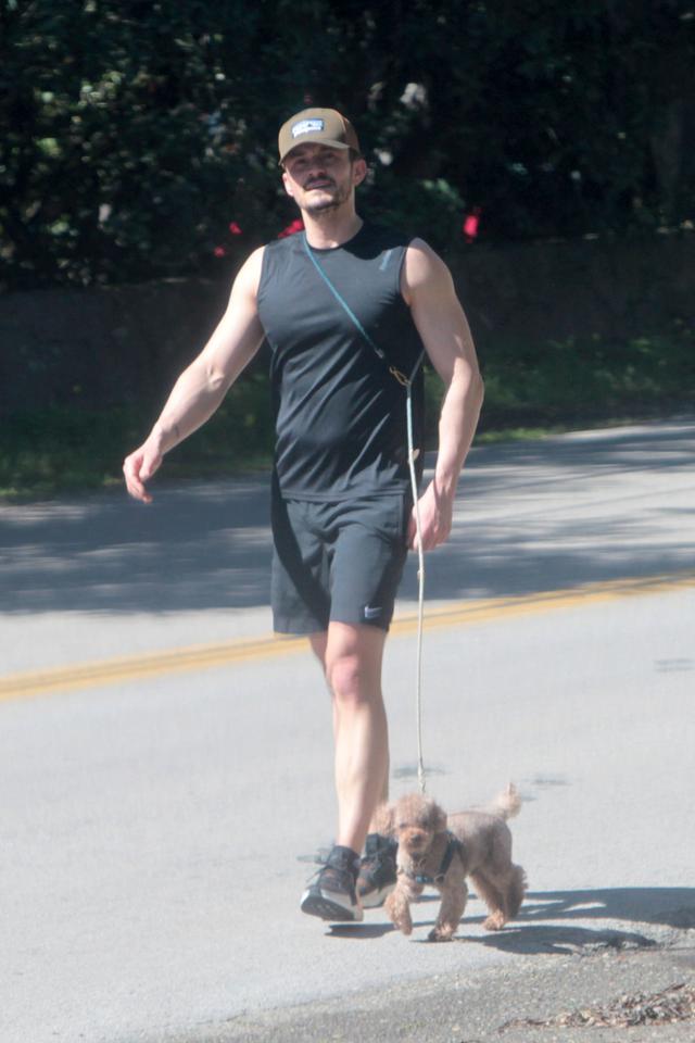画像: 2020年3月、今は亡き愛犬のマイティとハイキングへ。