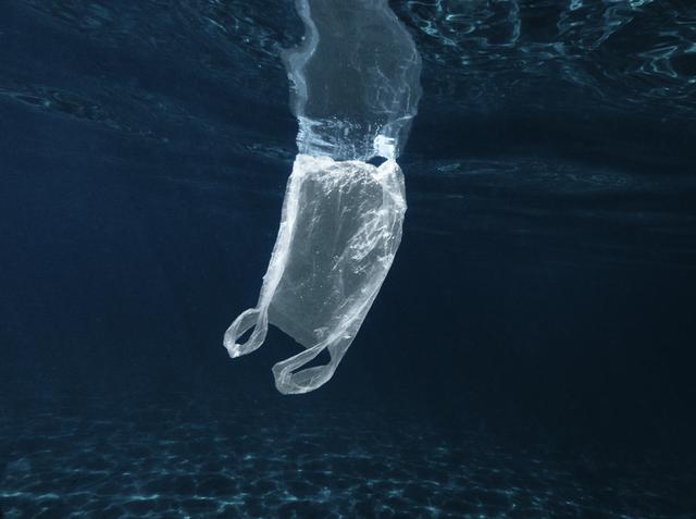 画像: 海洋プラスチックごみ削減につながる