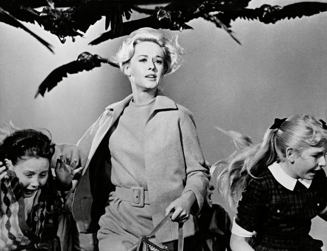 画像: 映画『鳥』より。 ⒸAlfred J. Hitchcock Productions