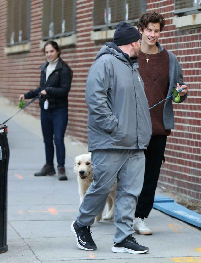 画像4: ショーン・メンデスが愛犬の散歩中に恋人のそっくりさんに遭遇