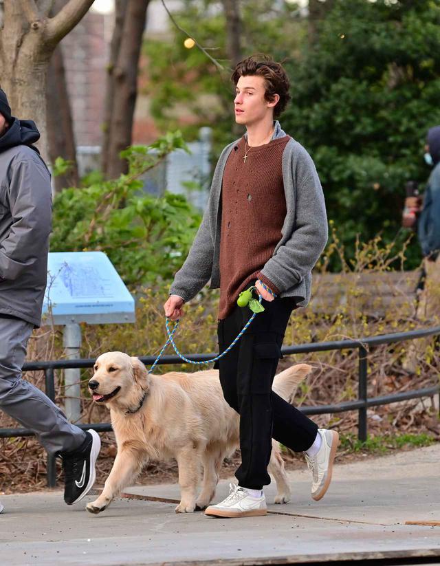画像2: ショーン・メンデスが愛犬の散歩中に恋人のそっくりさんに遭遇