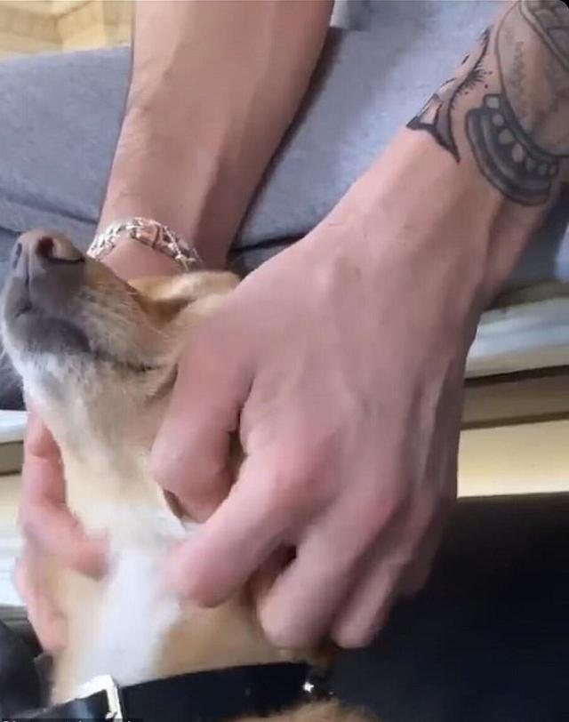 画像: アリアナの愛犬トゥールーズを撫でるダルトン。 @arianagrande/instagram