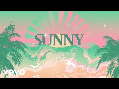 画像: Boney M., R3HAB - Sunny (Official Lyric Video) www.youtube.com