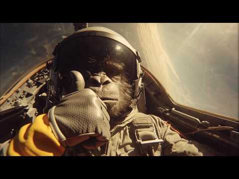 画像: Kula Shaker - Good Money (Official Video) www.youtube.com