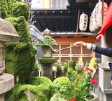 画像3: Coucou Weather Infomationのコーナー