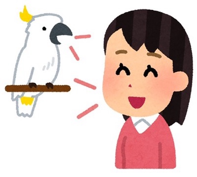 画像: 4/20(Mon.)『Marché Coucou』