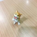 画像: 5月23日(火)「Music Bit」