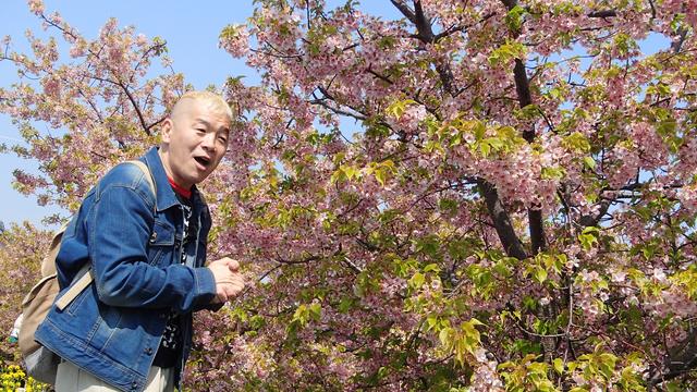 画像2: ウドちゃん、春色に染まる渥美半島の旅