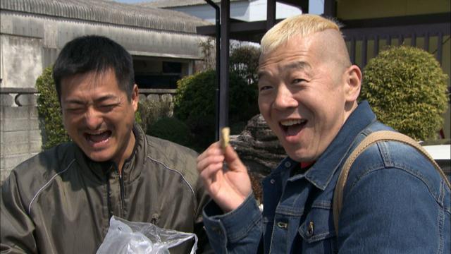 画像3: ウドちゃん、春色に染まる渥美半島の旅