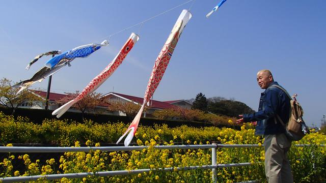 画像1: ウドちゃん、春色に染まる渥美半島の旅