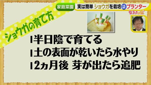 画像9: あなたも簡単にできる!家庭菜園 入門編