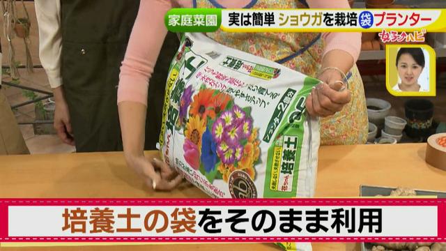 画像8: あなたも簡単にできる!家庭菜園 入門編