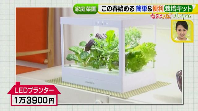画像4: あなたも簡単にできる!家庭菜園 入門編