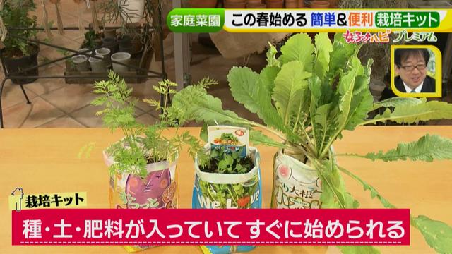 画像2: あなたも簡単にできる!家庭菜園 入門編