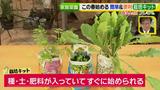 画像2: あなたも簡単にできる!家庭菜園 入門編