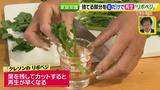 画像7: あなたも簡単にできる!家庭菜園 入門編