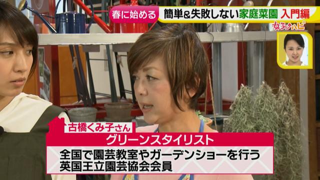 画像1: あなたも簡単にできる!家庭菜園 入門編