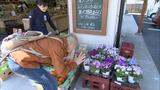 画像4: 東海道の宿場に訪れる春 静岡・藤枝市の旅
