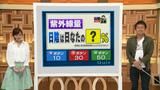 画像1: 木陰でも実は・・