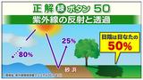 画像2: 木陰でも実は・・