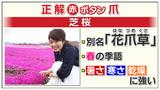 画像: 現地から生中継の井上裕衣アナとともに