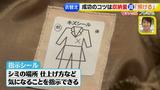 画像5: かさばる冬物の衣替えテク