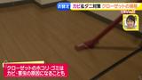 画像8: かさばる冬物の衣替えテク