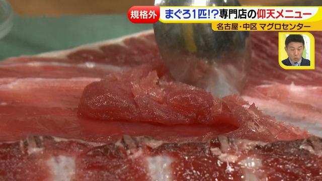 画像12: マグロセンター 専門店特集