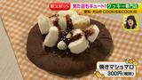 画像9: 専門店その1 クッキー