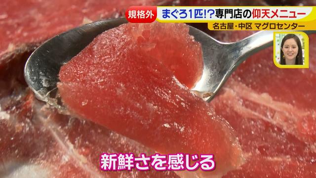 画像14: マグロセンター 専門店特集