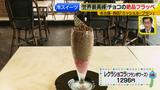 画像11: 新作その⑤ミッシェル・ブラン ひんやりスイーツ