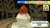 画像19: 新作その①レニエ ひんやりスイーツ