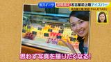 画像7: 新作その④PALETAS ひんやりスイーツ