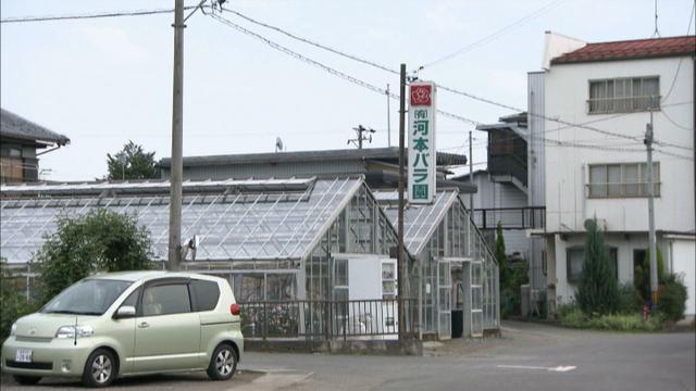 画像10: 薔薇の香りに包まれる町 岐阜・揖斐大野の旅