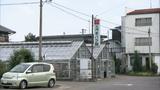 画像10: 薔薇の香りに包まれる町 岐阜・揖斐大野の旅