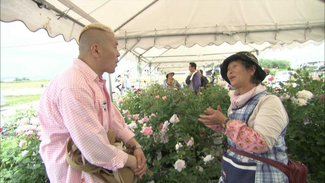 画像9: 薔薇の香りに包まれる町 岐阜・揖斐大野の旅
