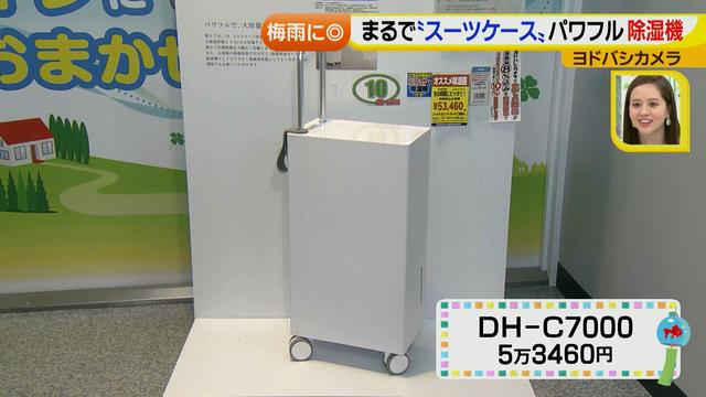 画像32: 普通触りませんが、触ってもいい扇風機 など最新家電