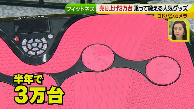 画像35: 普通触りませんが、触ってもいい扇風機 など最新家電